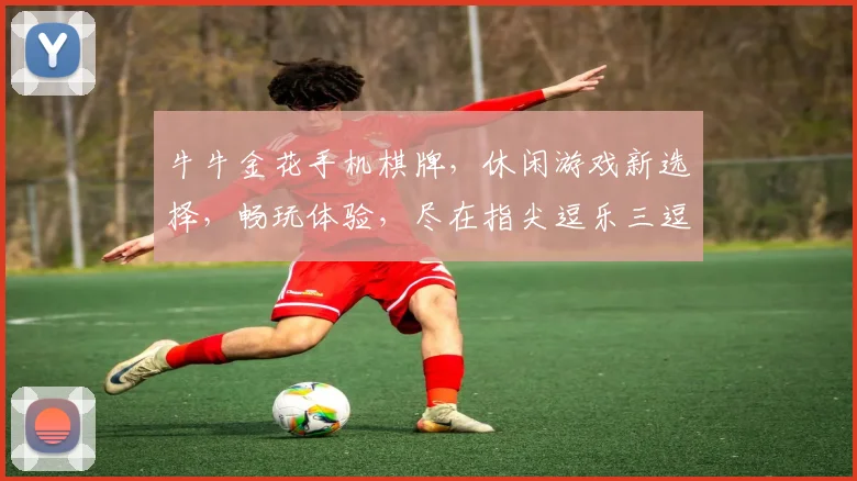 牛牛金花手机棋牌，休闲游戏新选择，畅玩体验，尽在指尖逗乐三逗逗