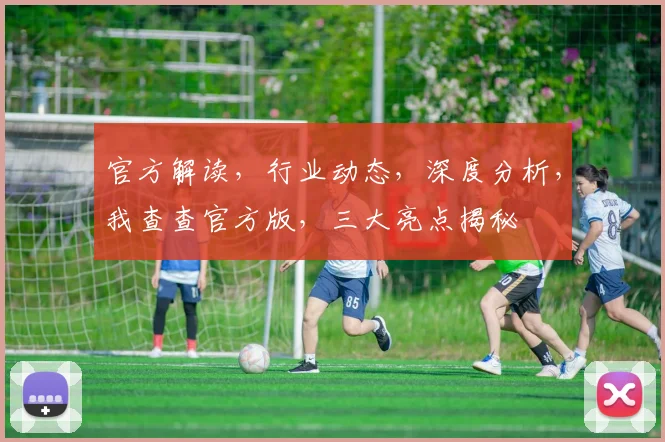 官方解读，行业动态，深度分析，我查查官方版，三大亮点揭秘