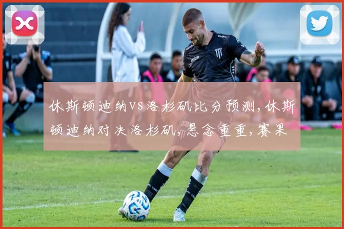 休斯顿迪纳vs洛杉矶比分预测,休斯顿迪纳对决洛杉矶,悬念重重,赛果几何