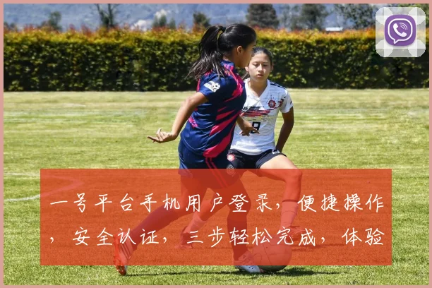 一号平台手机用户登录，便捷操作，安全认证，三步轻松完成，体验无忧