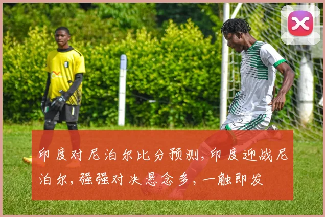 印度对尼泊尔比分预测,印度迎战尼泊尔,强强对决悬念多,一触即发