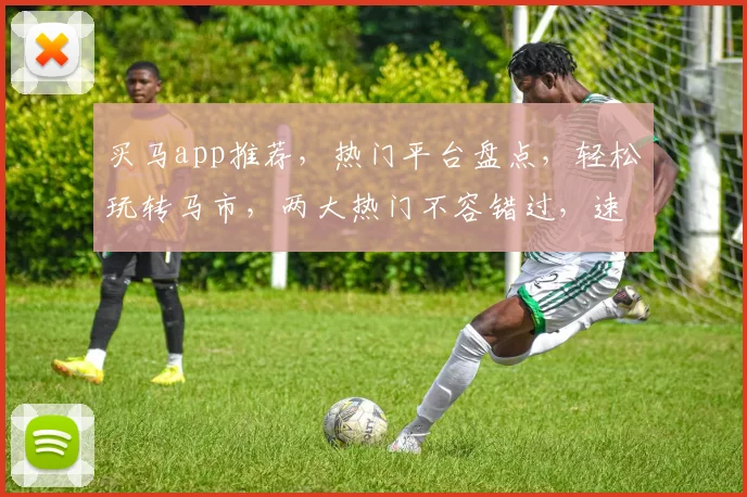 买马app推荐，热门平台盘点，轻松玩转马市，两大热门不容错过，速来体验
